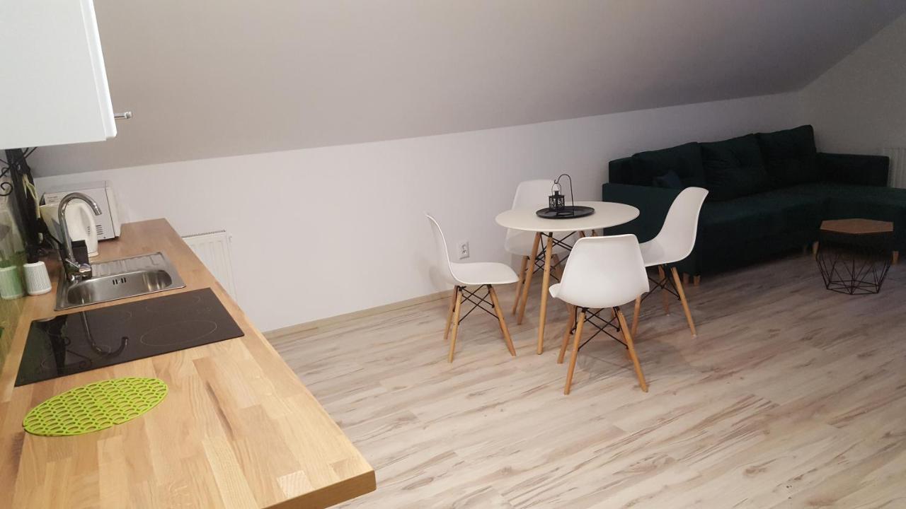 Apartamenty - Pod Wierzbami Dwikozy ภายนอก รูปภาพ