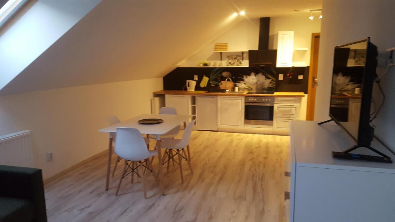 Apartamenty - Pod Wierzbami Dwikozy ภายนอก รูปภาพ